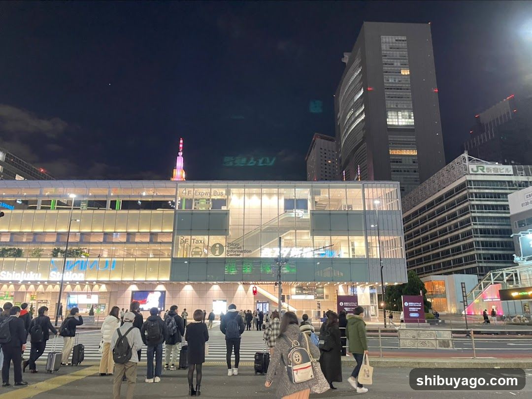 Shinjuku Station Night View