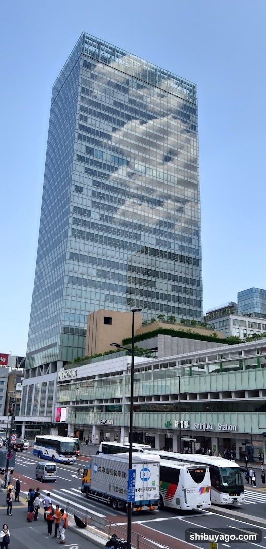 Shinjuku Station Area