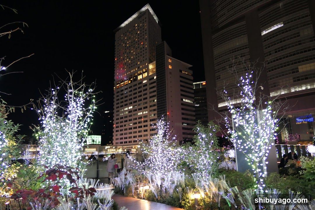 Night City Lights Display