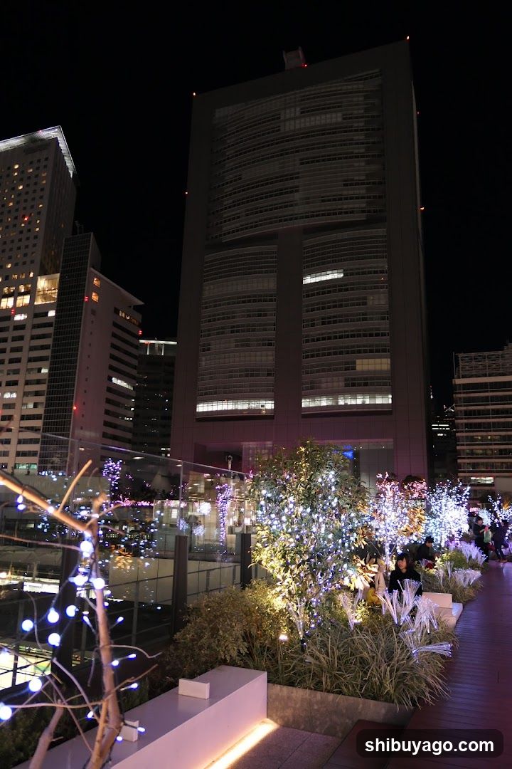Night Cityscape with Decorated Trees
