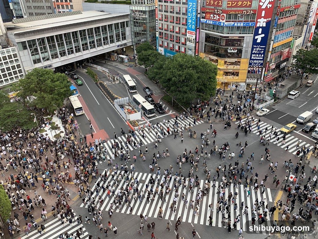 Shibuya Crossing Crowds
