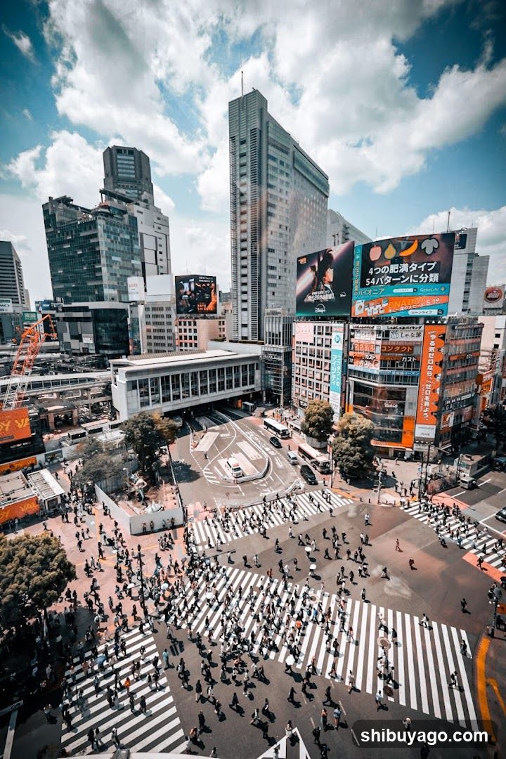 Shibuya Crossing Tokyo Japan