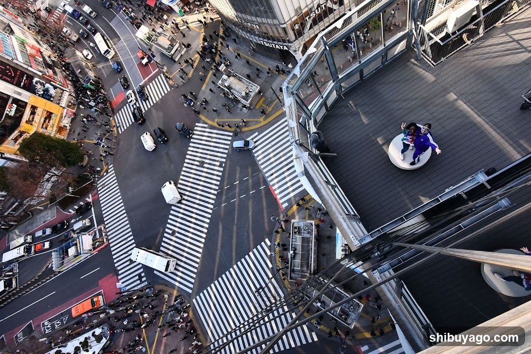 Aerial view of Shibuya crossing with Tokyo Skytree observation deck