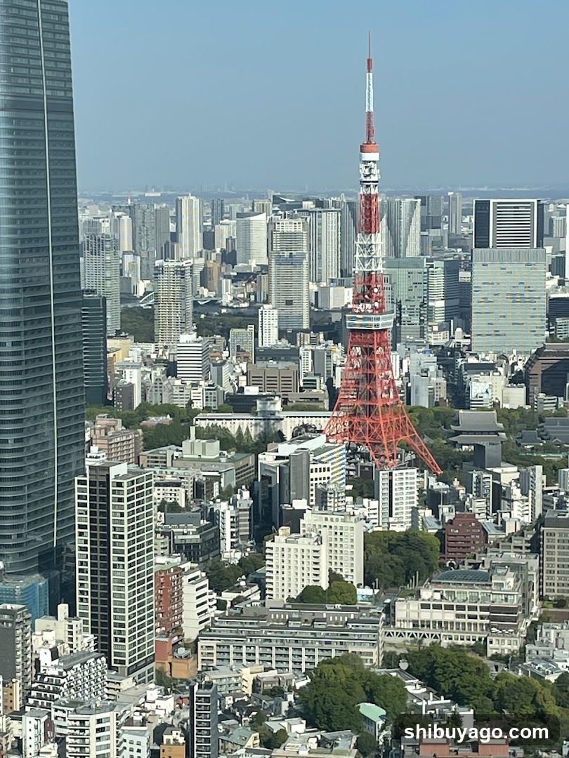 Tokyo Cityscape with Tokyo Tower