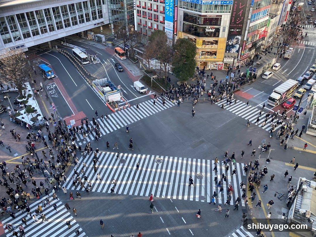 Crowded Intersection with Shops and Buildings