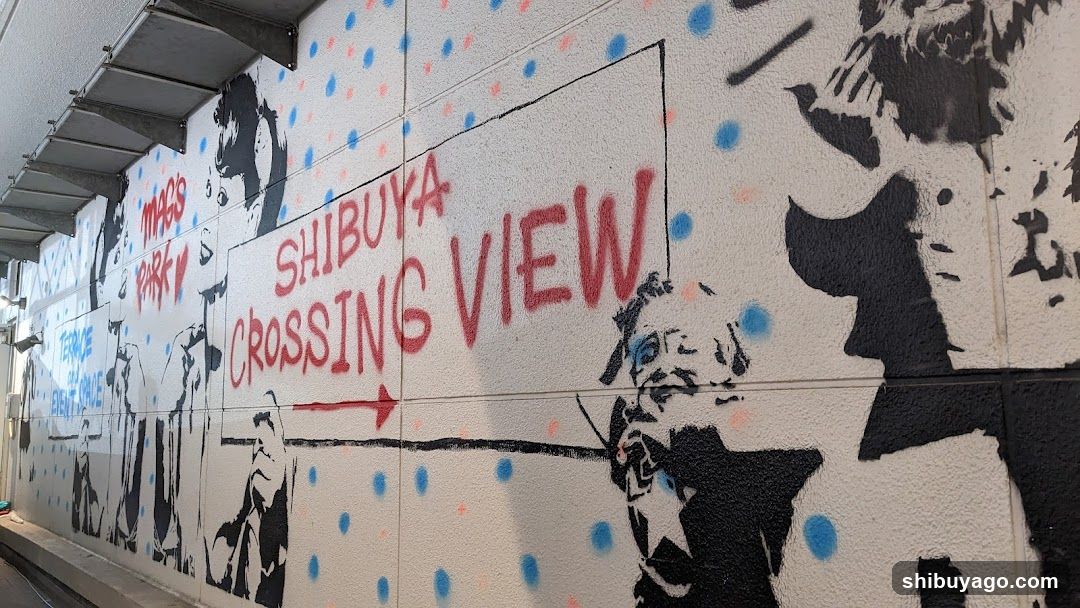Shibuya Crossing View Graffiti