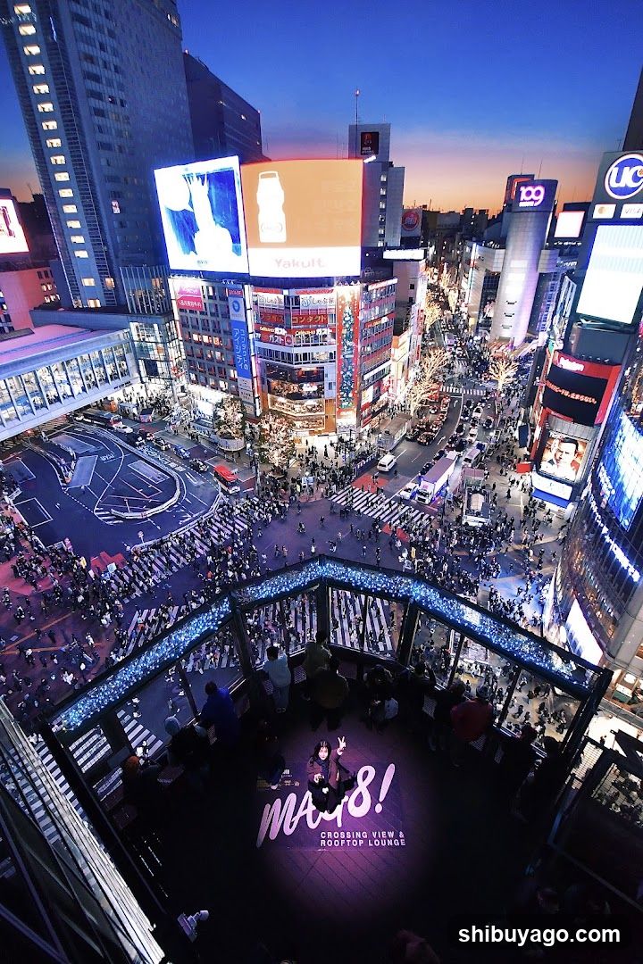 Shibuya Crossing Rooftop View at Dusk