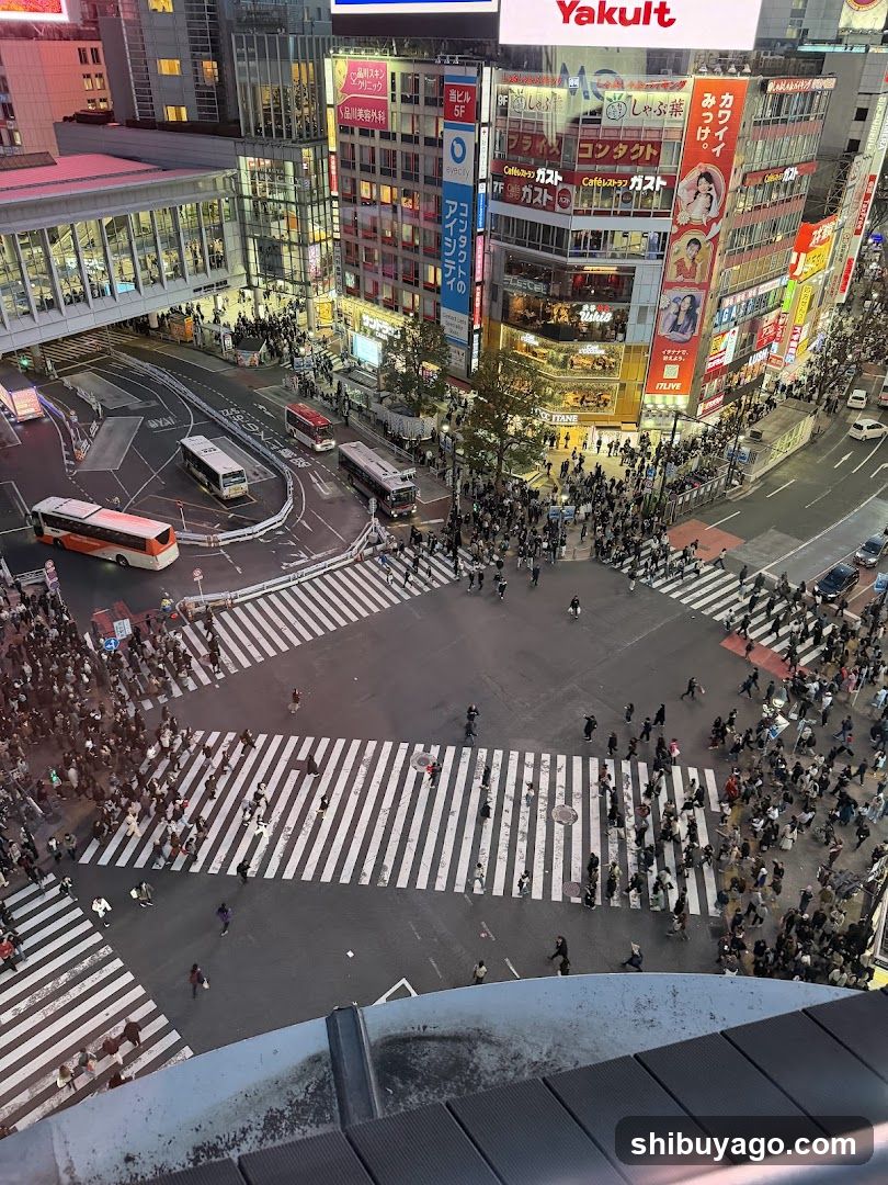 Shibuya Crossing Night View