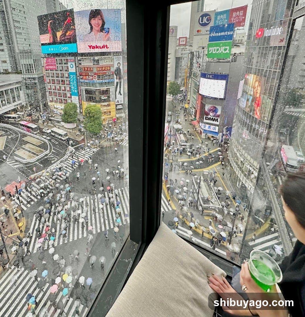 Rainy Tokyo Crossing View from High Floor