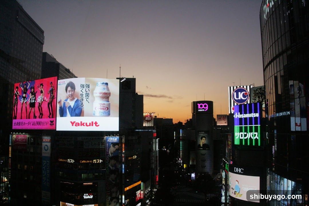 Tokyo Shibuya Skyline at Dusk