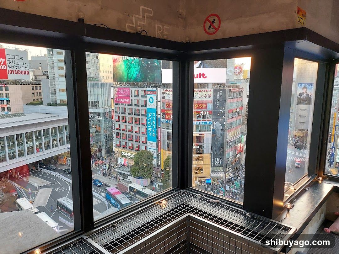 Tokyo Street View from High Floor