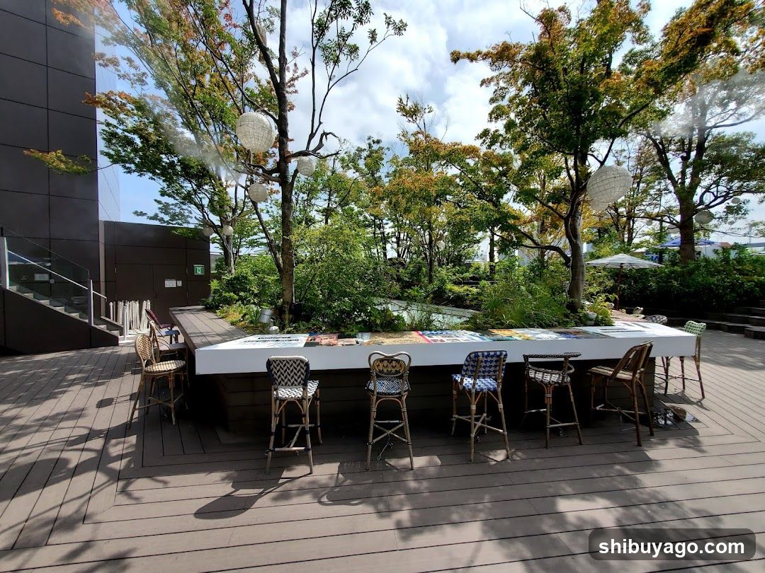 Outdoor Seating Area with Long Table and Bar Stools