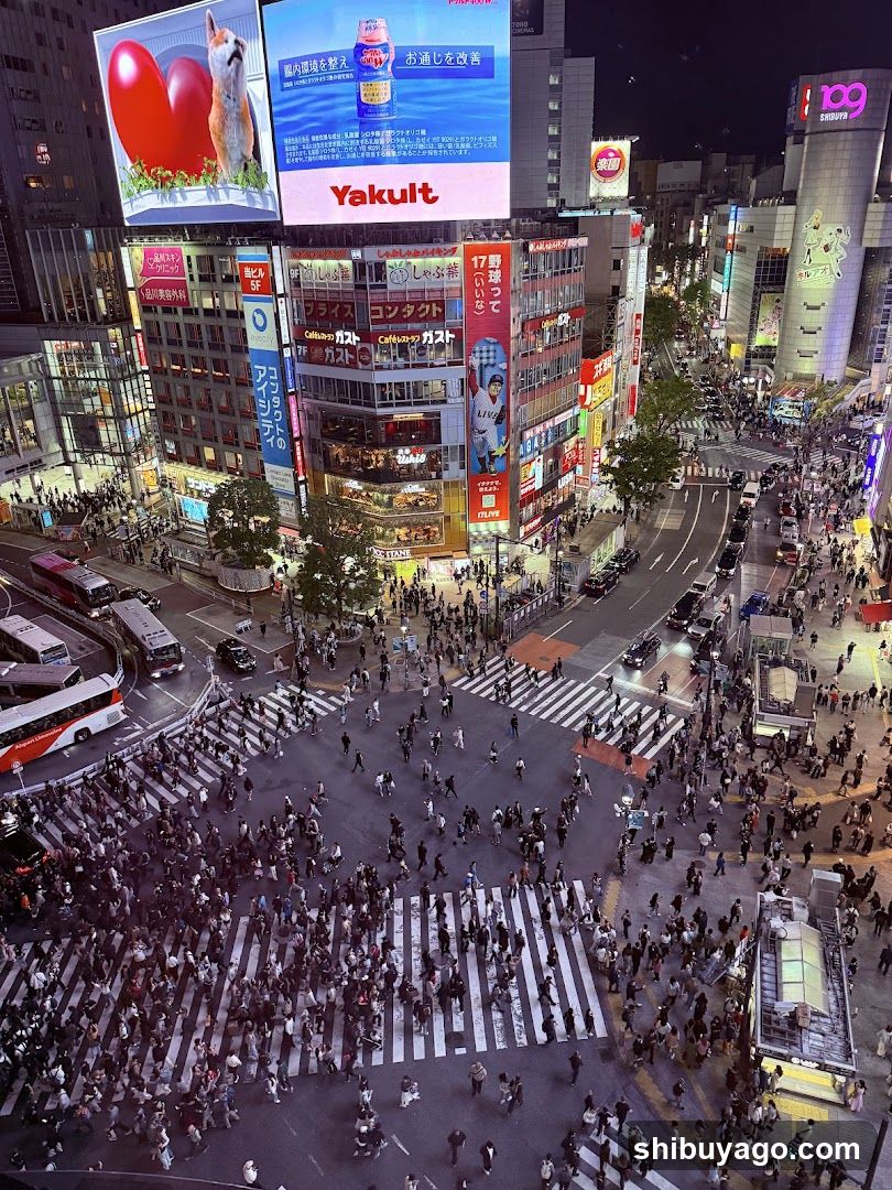 Shibuya Crossing Night View