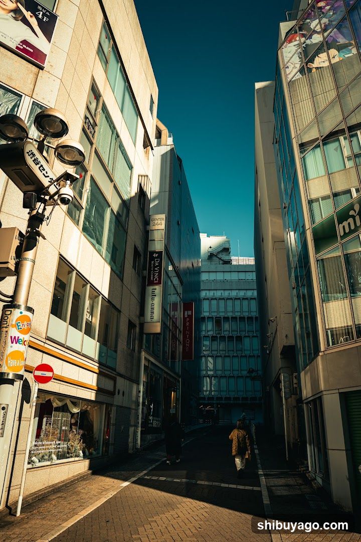 Urban Alleyway with Shops and Buildings
