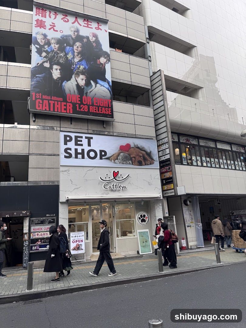 Street Scene with K-pop Billboard and Pet Shop