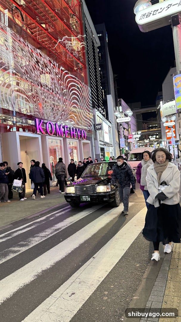 Night Street Scene with Pedestrians and Vehicles