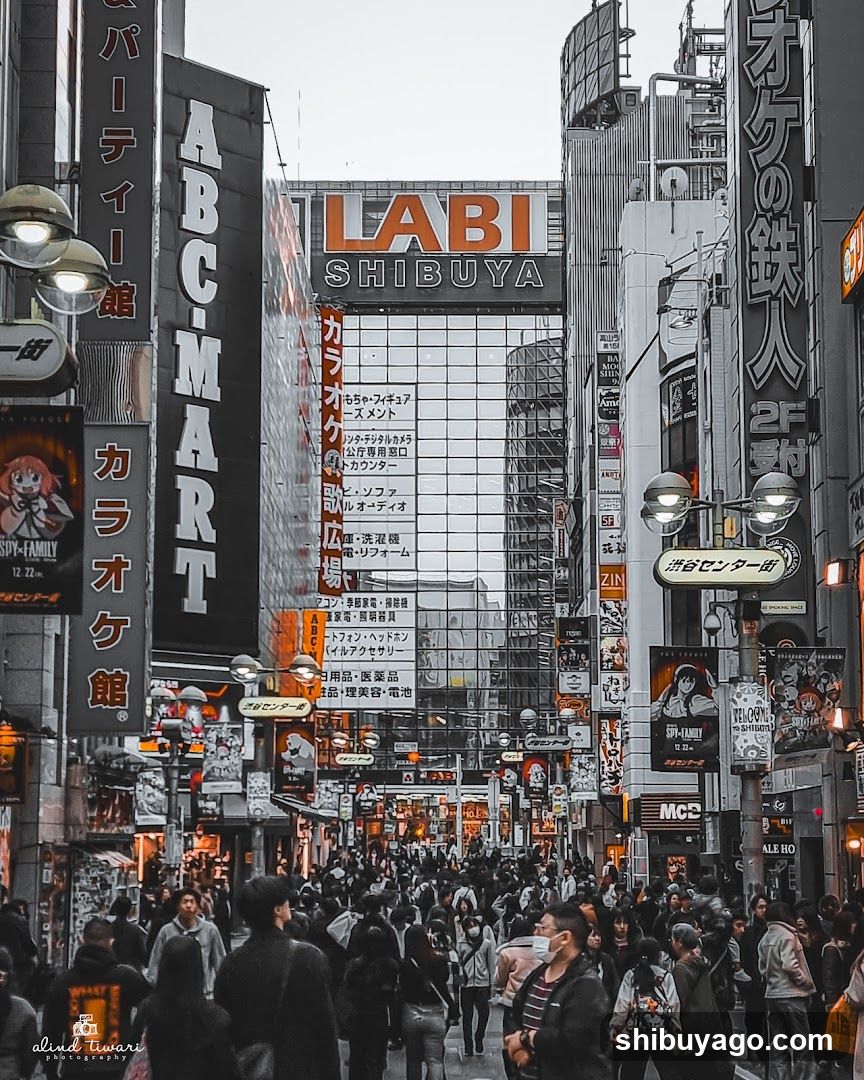 Shibuya Street Scene