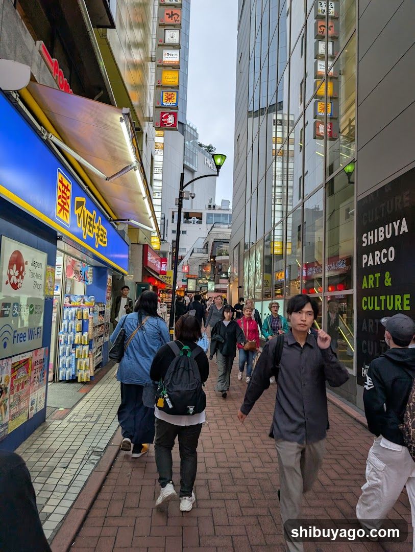 Shibuya Street Scene