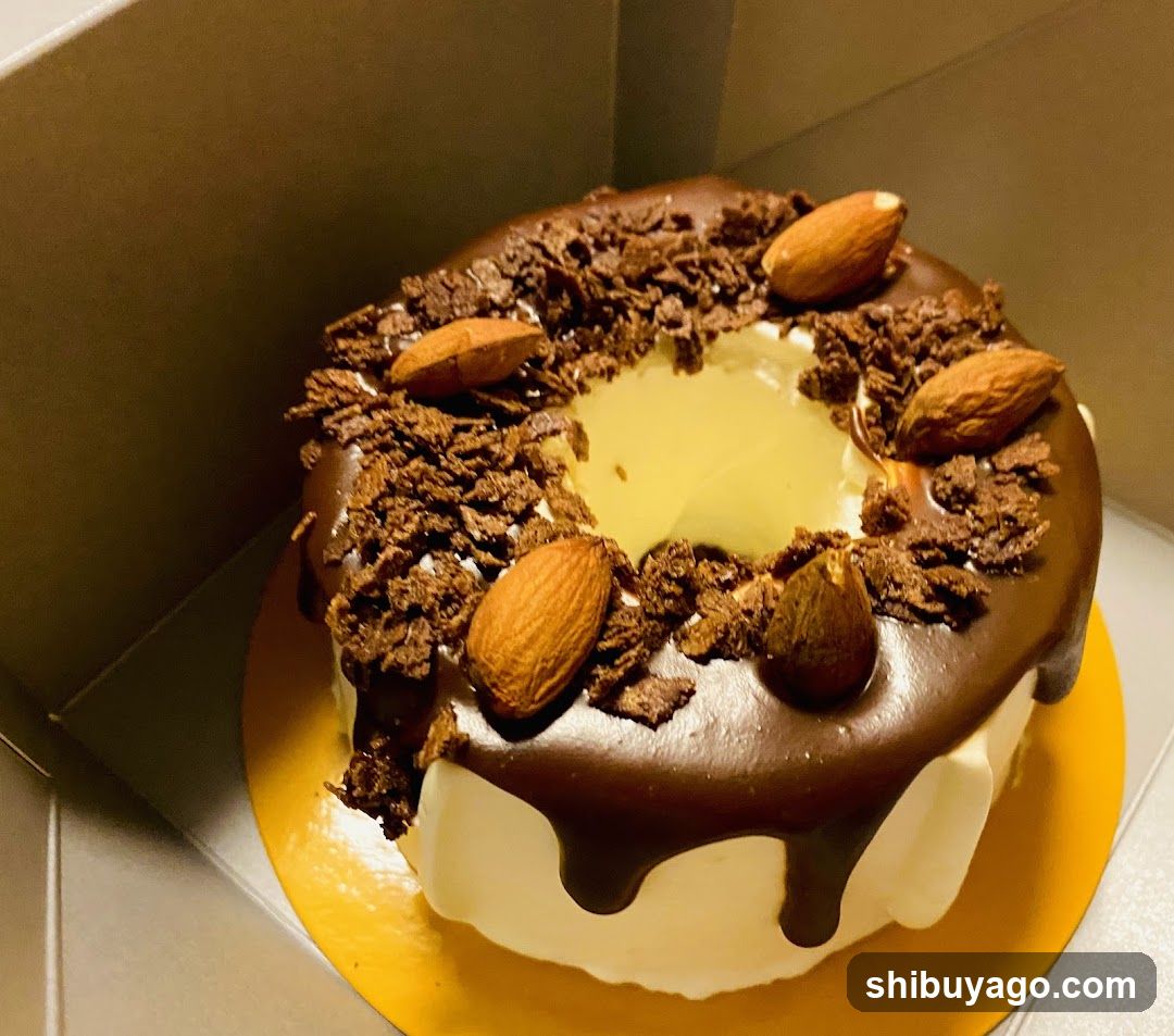 Chocolate Almond Cake