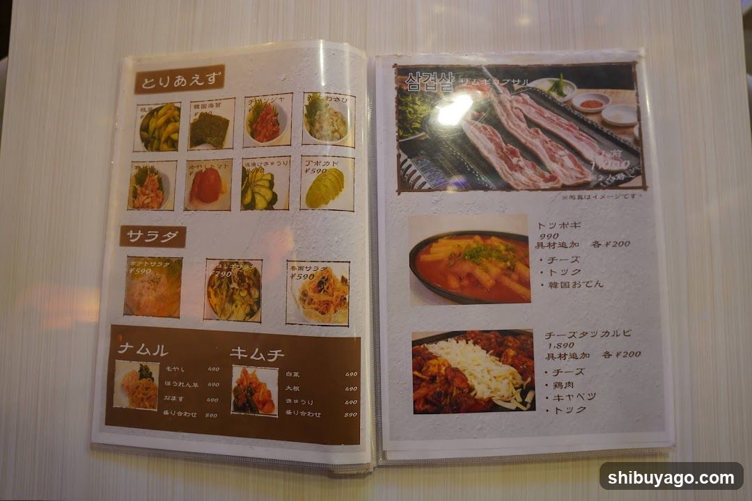Open menu book displaying Japanese dishes with prices and images.