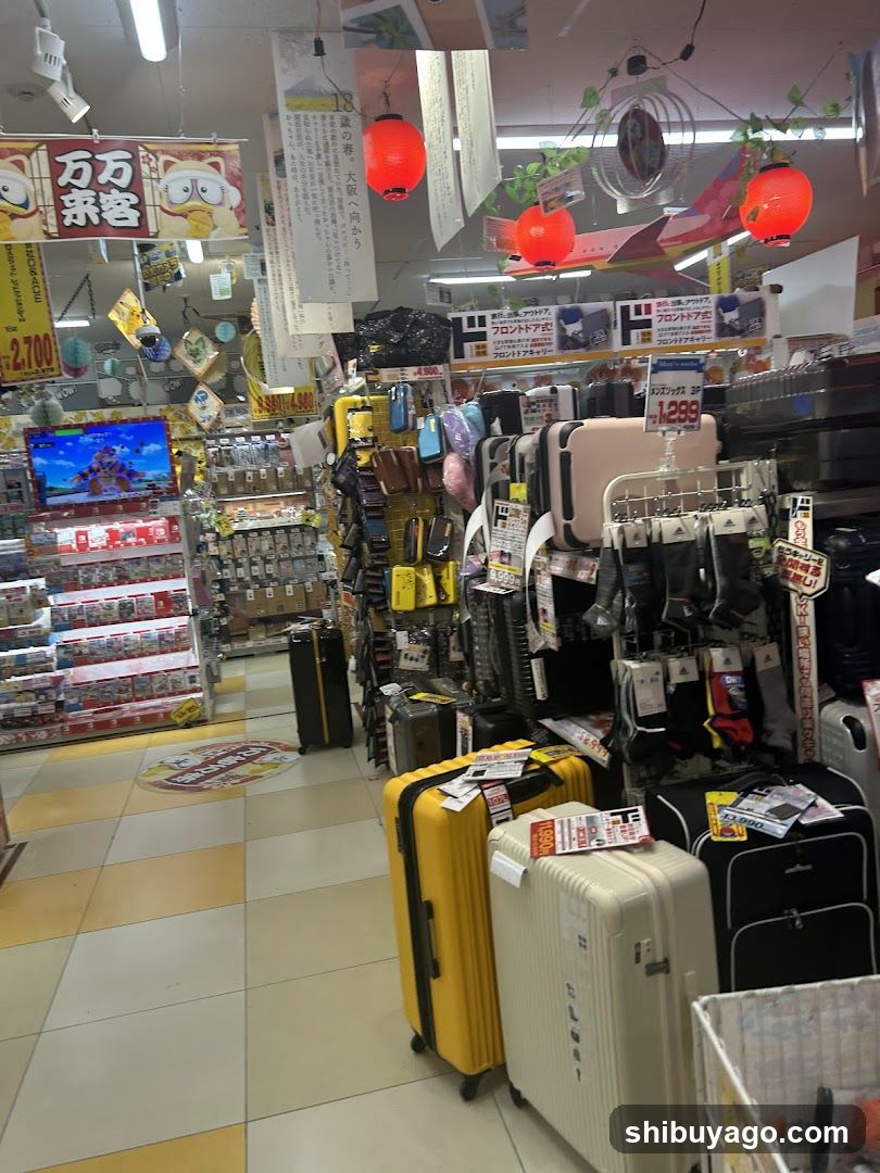 Luggage and Accessories Store Interior