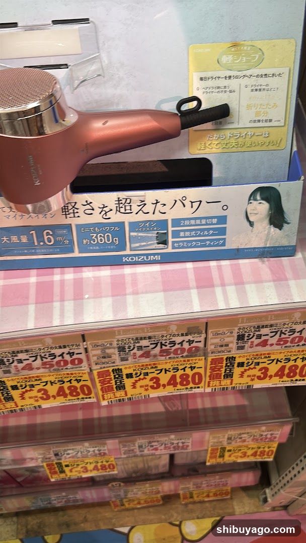 Hair Dryer Display