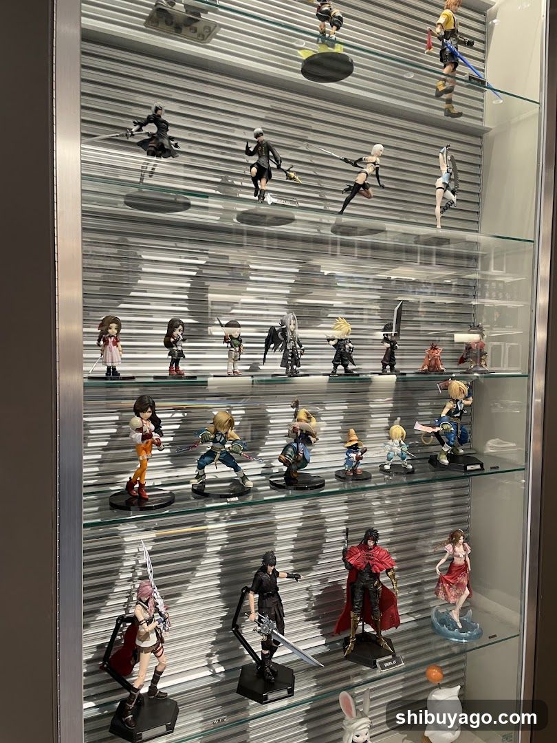 Anime Figure Collection Display