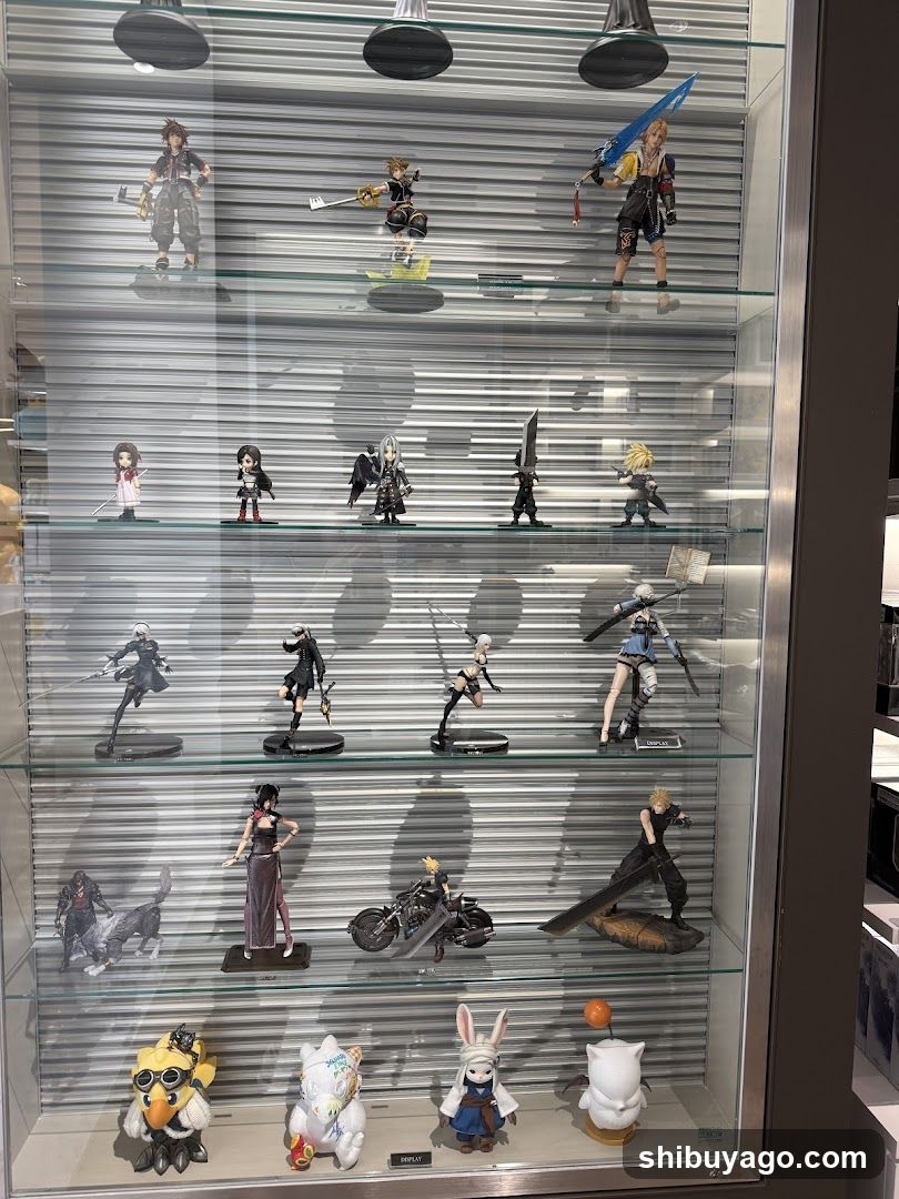 Figure Collection Display Case