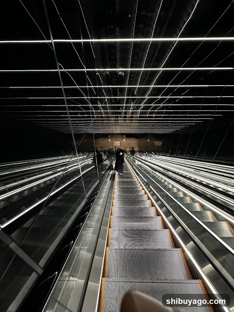 Elevated escalator interior