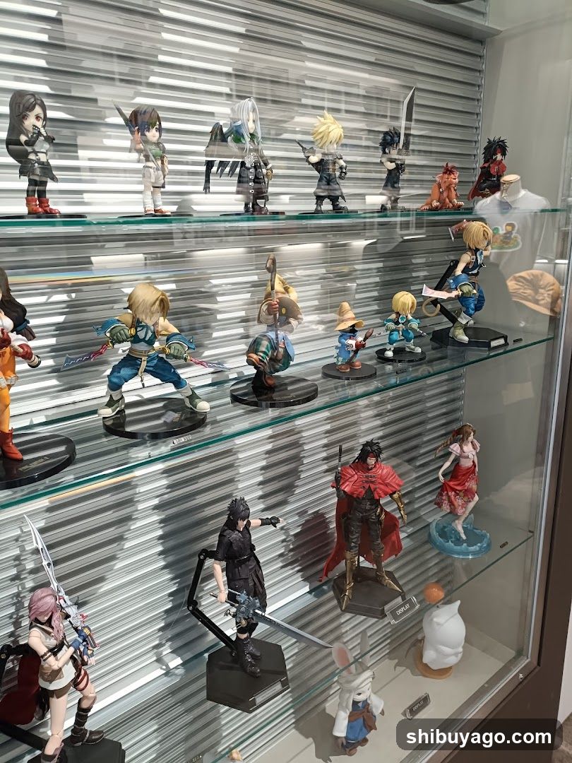 Anime Figure Collection Display