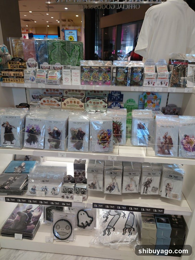 Merchandise Display Shelf