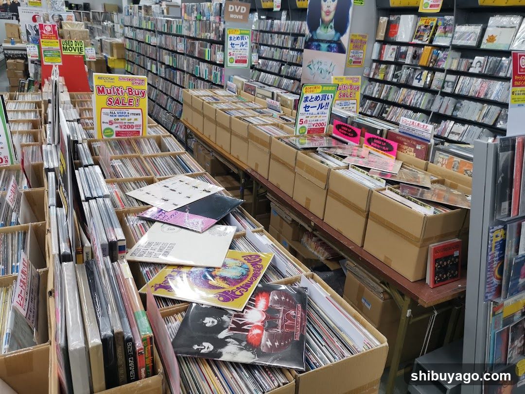 Used DVD and Music Store Interior