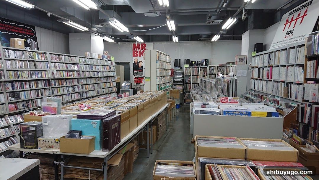 Record Store Interior