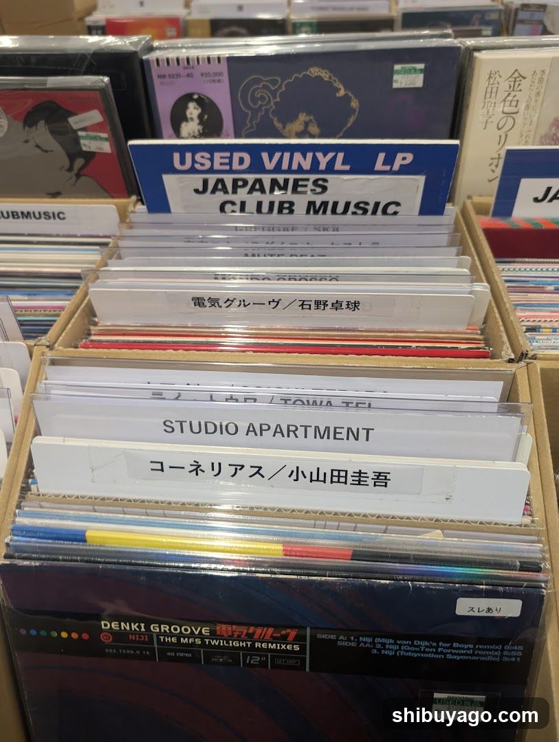 Vinyl Record Display
