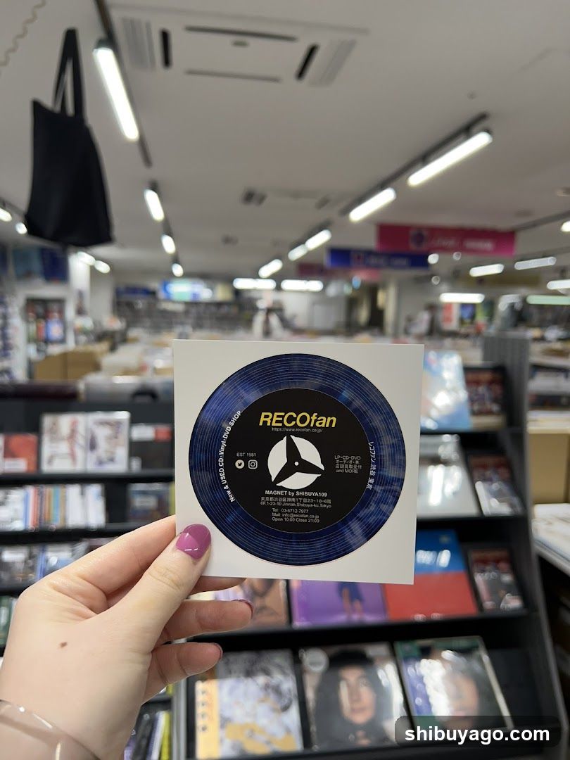 RECOfan Vinyl Record Display
