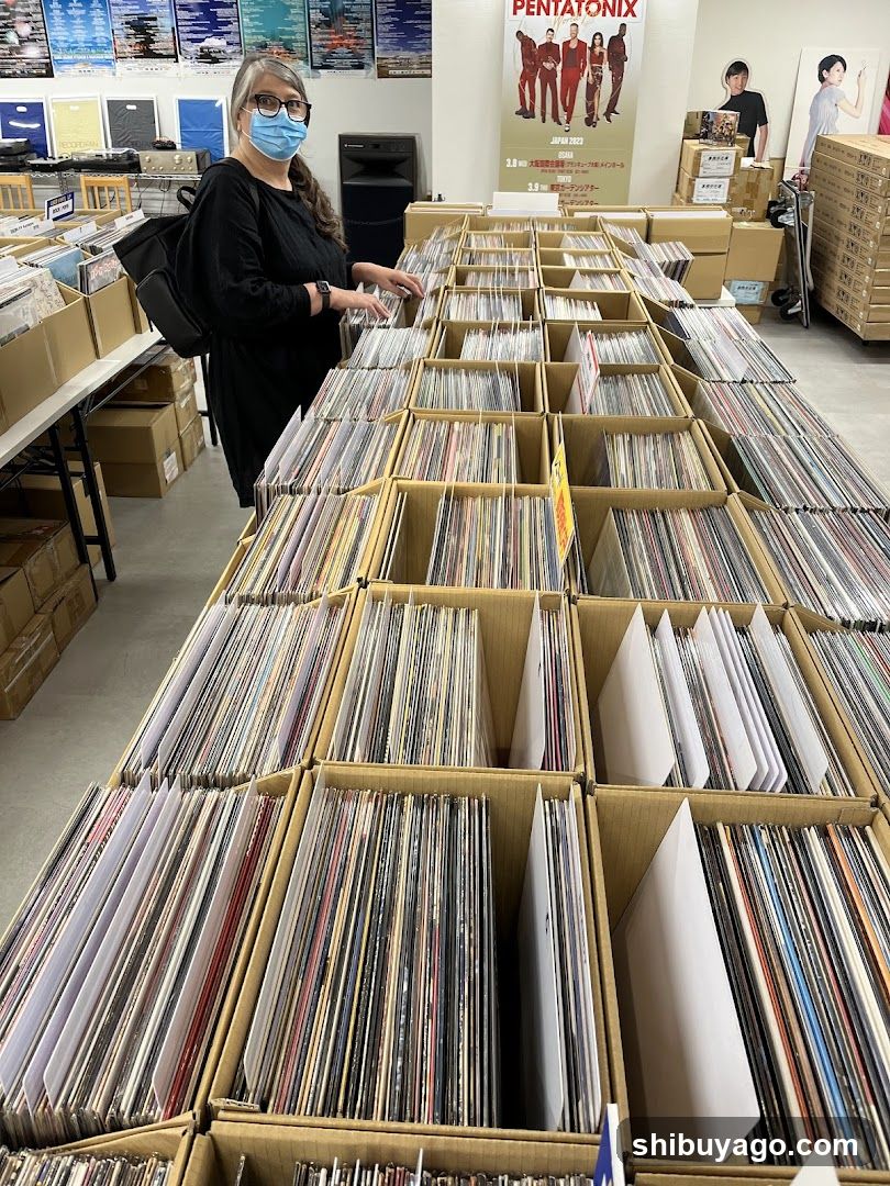 Vinyl Record Store Interior