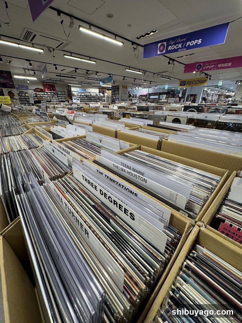 Record Store Interior