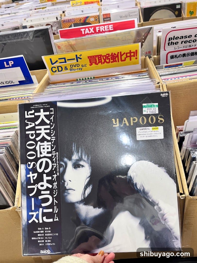 Record Store Interior