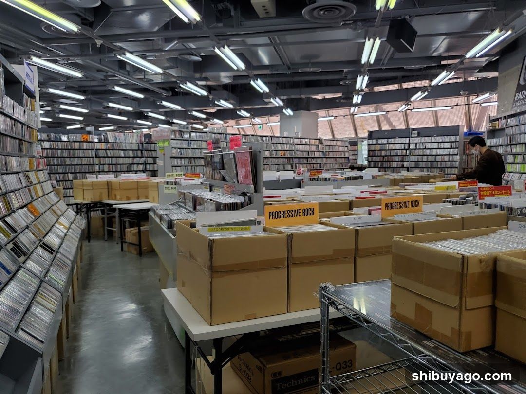 Music Store Interior with CD Boxes