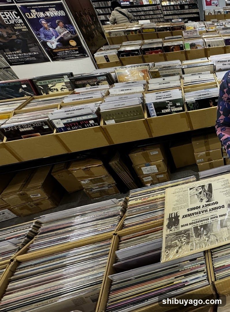 Record Store Interior