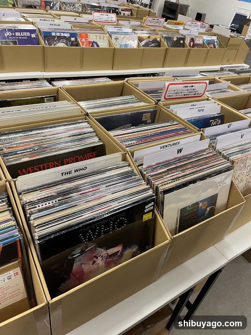 Record Store Interior