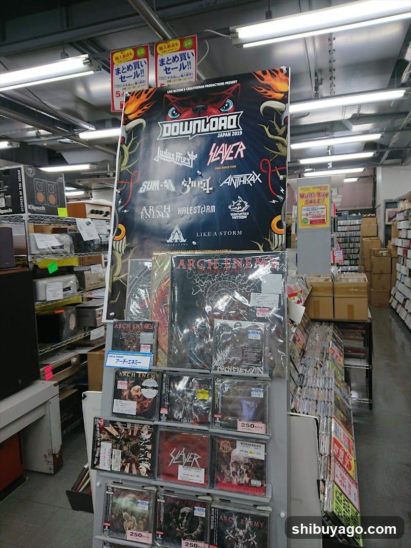 Music Store Interior Display