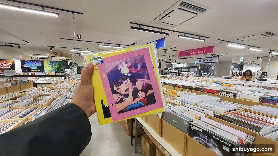 Record Store Interior with Vinyl Display