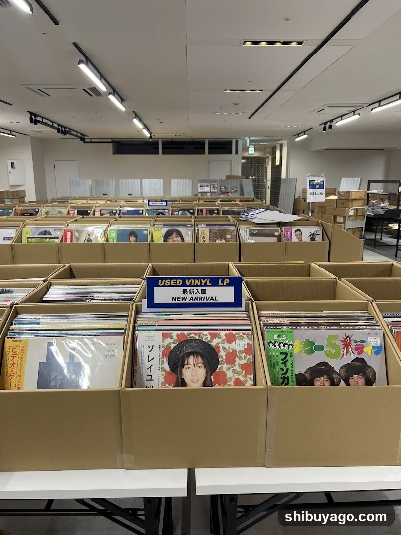 Used Vinyl LP New Arrival Display
