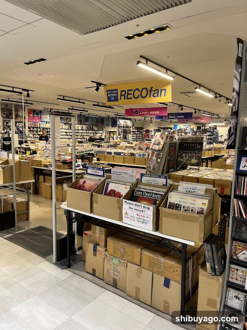 RECOfan Store Interior
