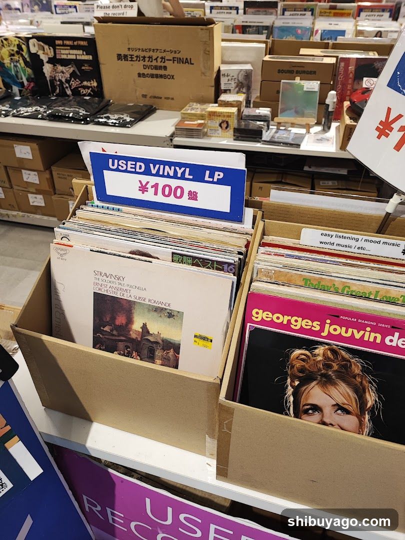 Used Vinyl LP Display