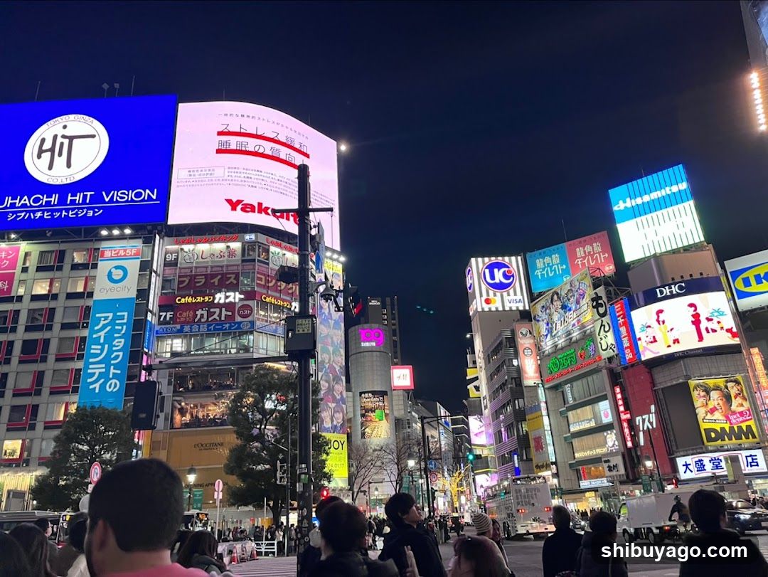 Shibuya Crossing Night View