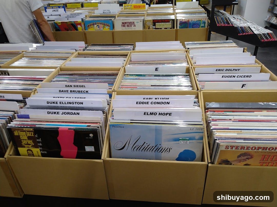 Vinyl Record Display