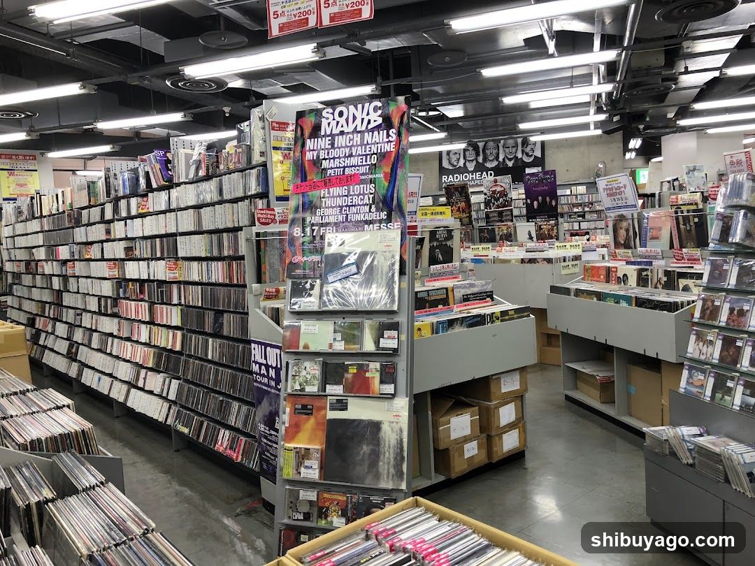Record Store Interior