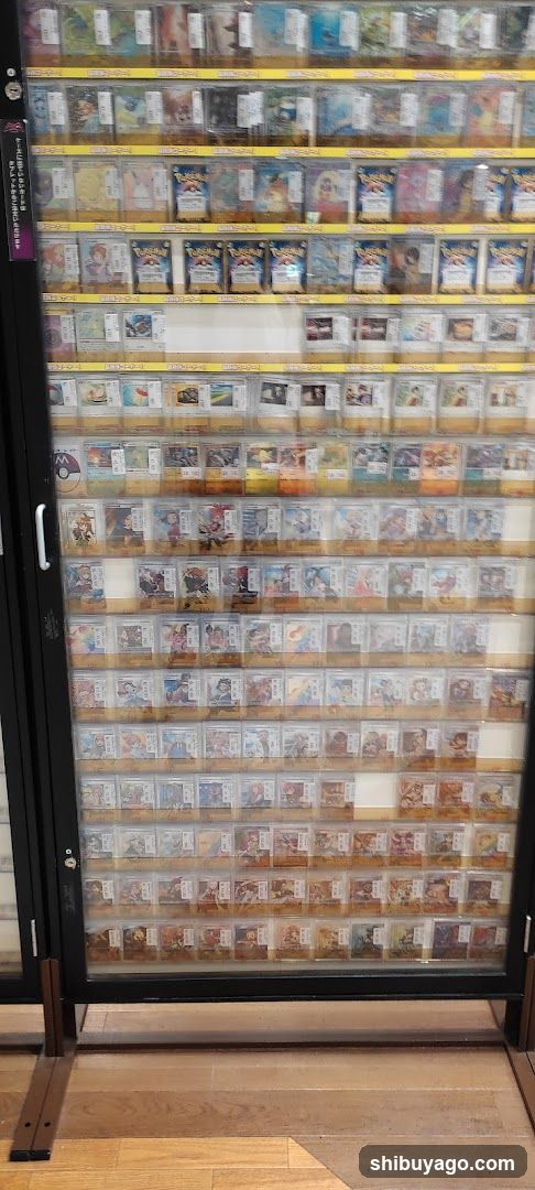 Pokemon Card Display Case